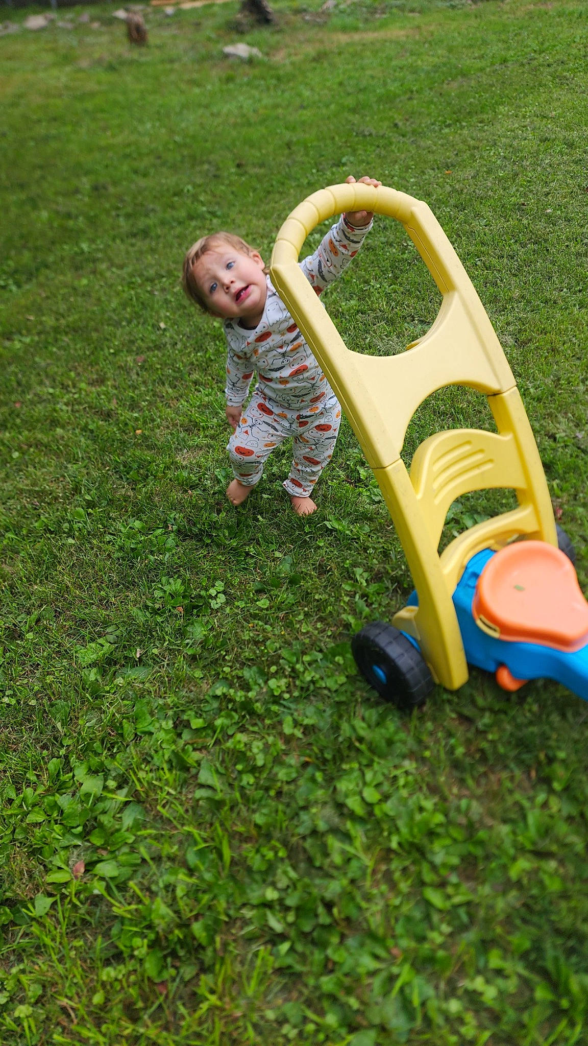 Ronald is registered to the contest to win money with this photo: child, fun, garden, grass, grassland, groundcover, lawn, leisure, outdoor_play_equipment, people_in_nature, person, plant, play, recreation, riding_toy, smile, synthetic_rubber, tire, toddler, toy