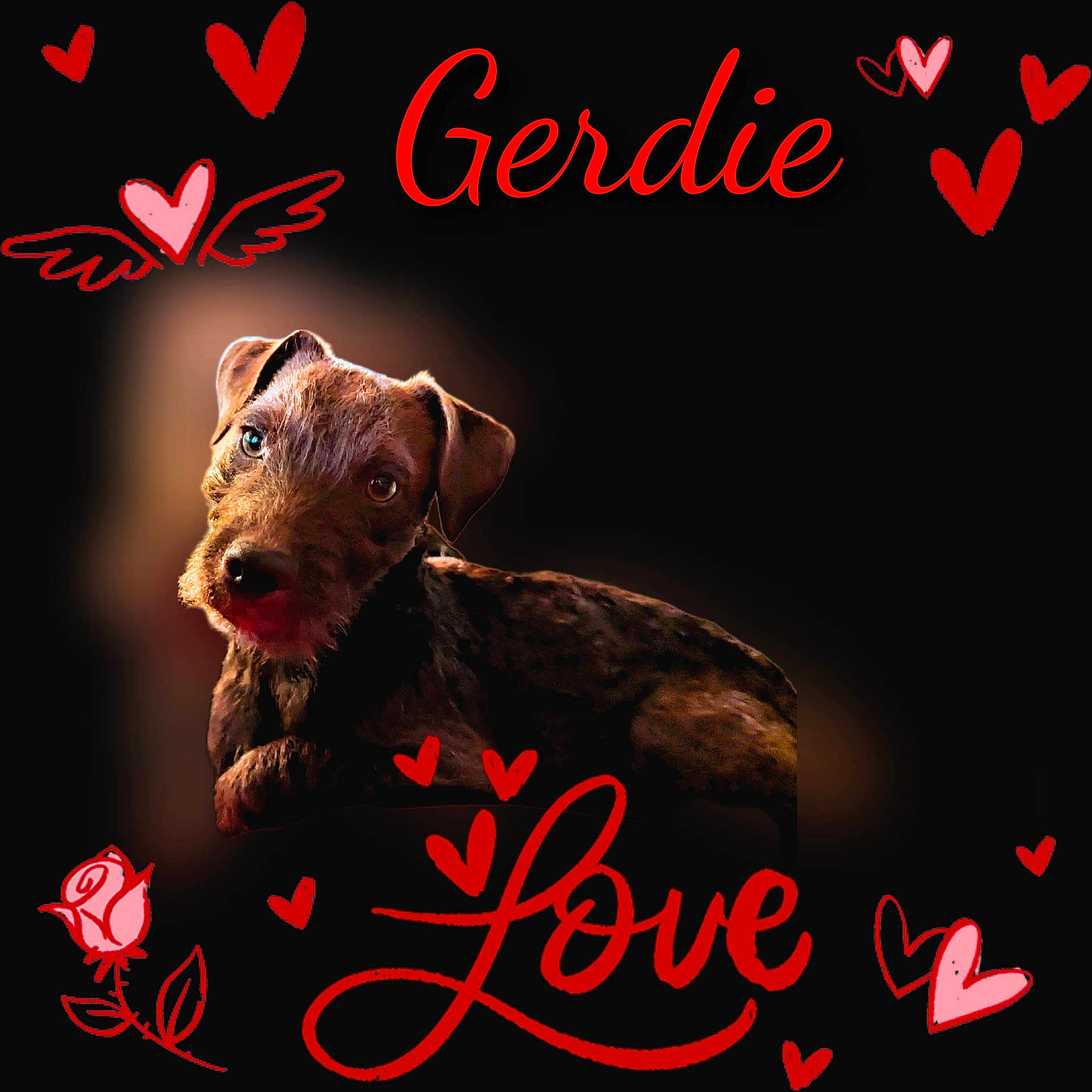 Gerdie