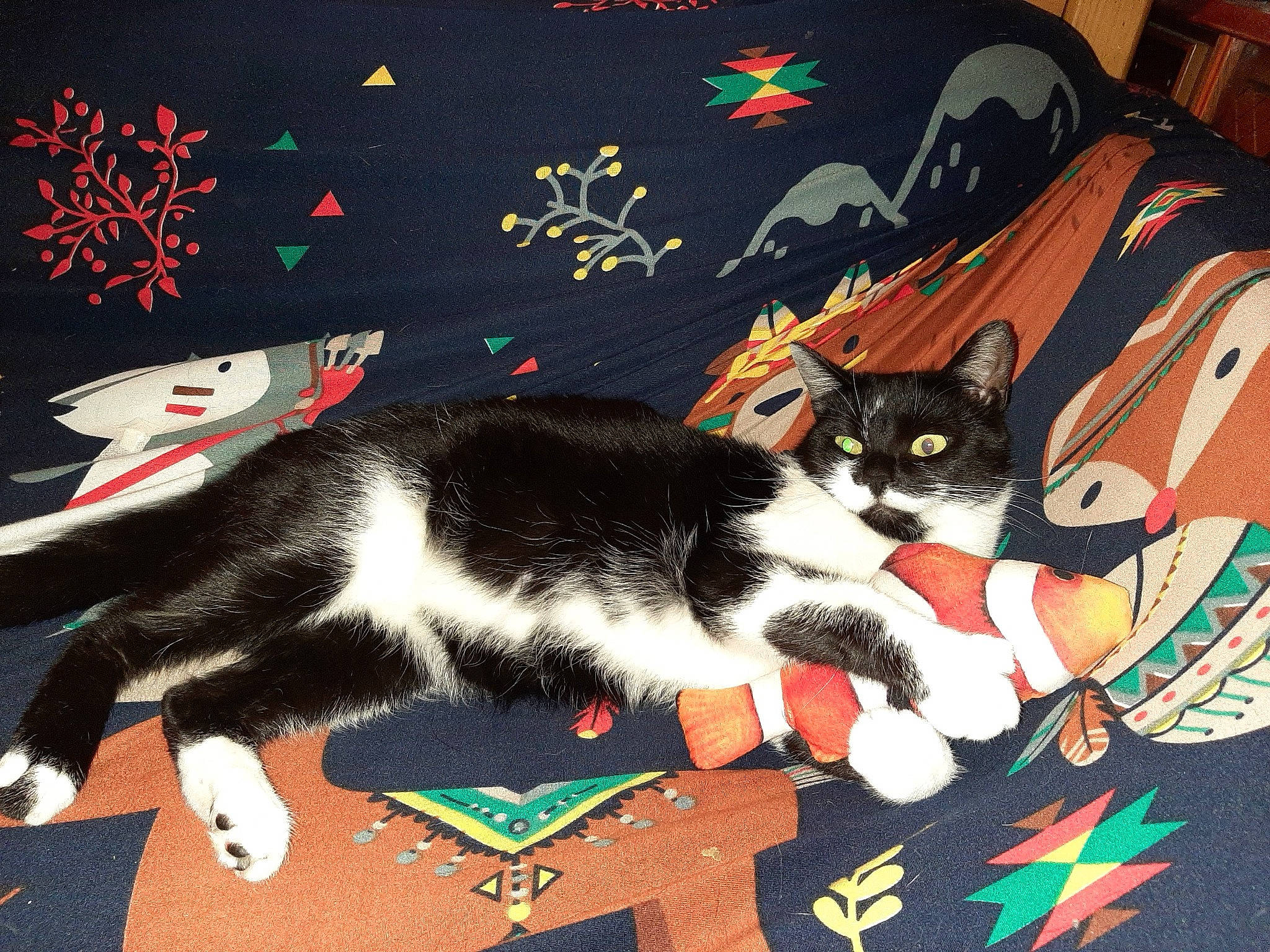 Fleufy a rejoint le concours — aidez-le/la à gagner de superbes lots ! art, black, carmine, carnivore, cat, creative_arts, event, felidae, font, fur, graphic_design, graphics, paint, photo_caption, rectangle, room, small_to_medium_sized_cats, tail, whiskers