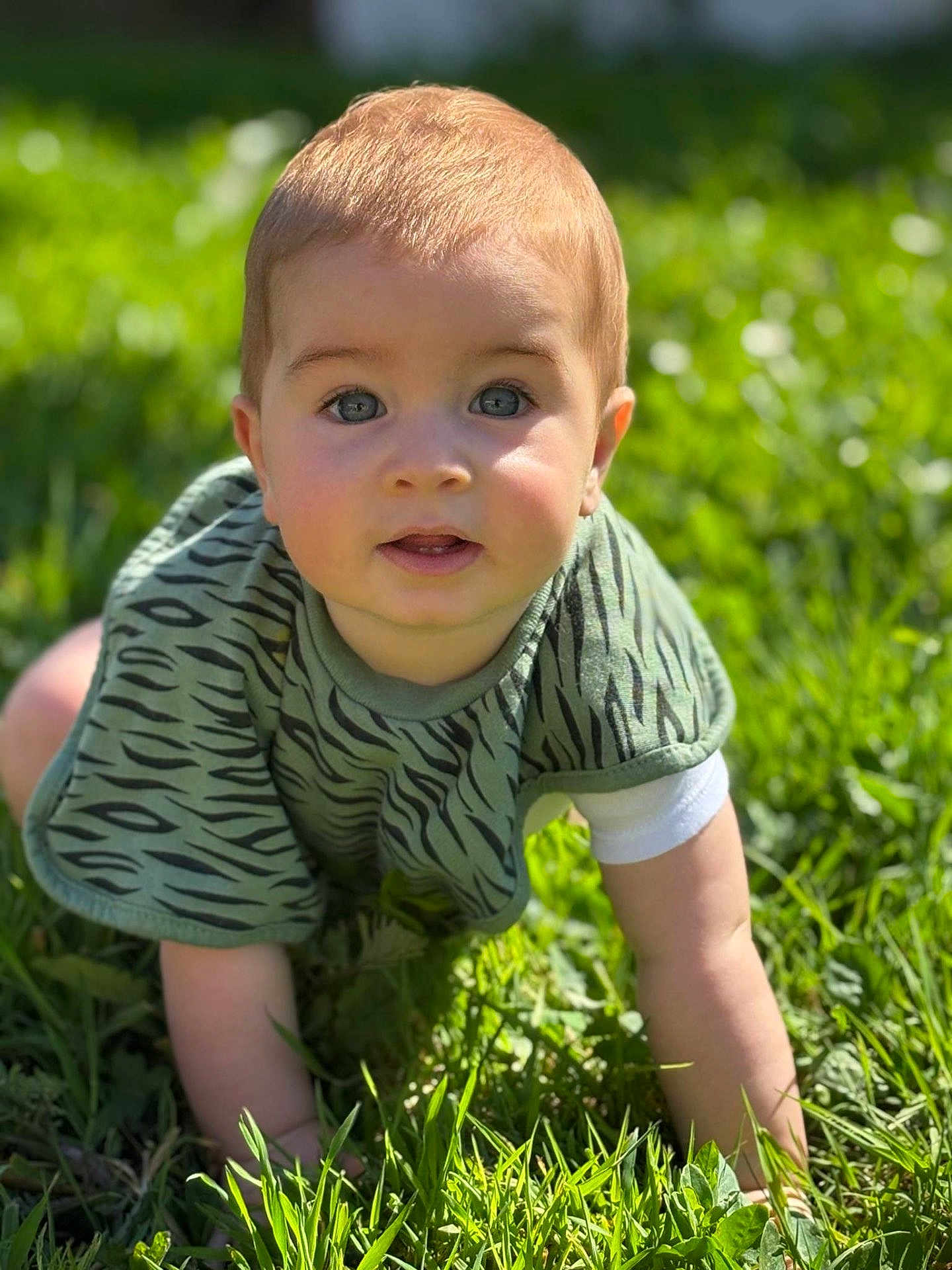 Aaron participe au concours pour gagner de l'argent avec cette photo : baby, child, grass, outdoor, sunlight, crawling, green, bib, face, eyes, skin, nature, young, person, infant, toddler, cute, portrait, daylight, expression