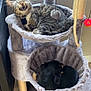 animal, cat, cozy, curled_up, cute, dog, domestic, furniture, home, indoor, multi_level, pet_bed, plush, relaxation, resting, scratching_post, sleeping, small_dog, tabby_cat, toy