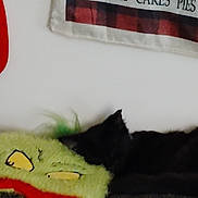 Shadow joined the competition — help win amazing prizes! black, black_cat, cat, cozy, cute, decor, fabric_sign, face_design, green, home, indoor, knitted_pillow, pillow, red, resting, sleeping, soft_texture, text, wall, yellow