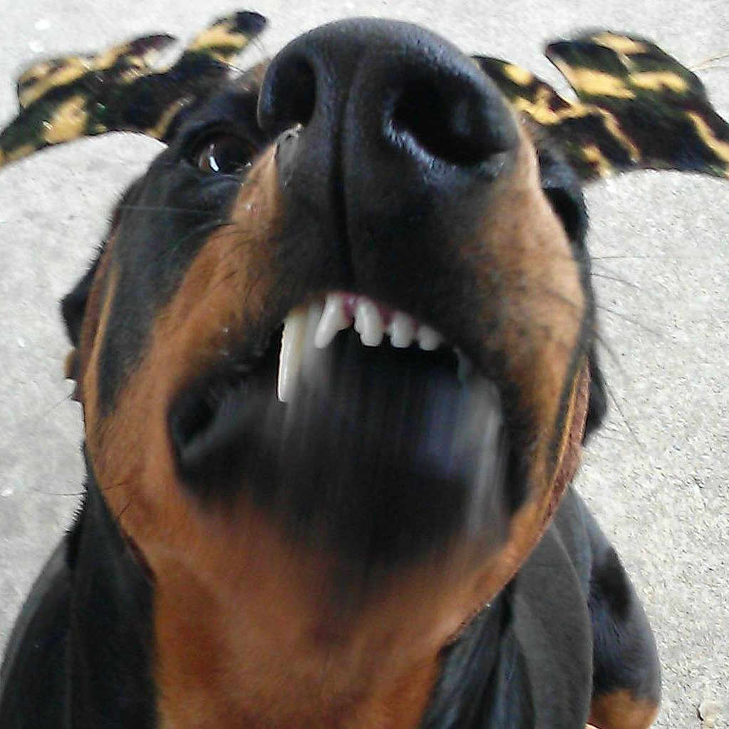 Grace Brown is registered to the contest to win money with this photo: