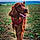 Sadie