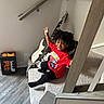 black_pants, carpet, child, electric_guitar, footwear, guitar, hair, happy, indoors, person, red_shirt, shoebox, smiling, spiderman, stairs, timberland, toddler, wall, waving, wood_floor