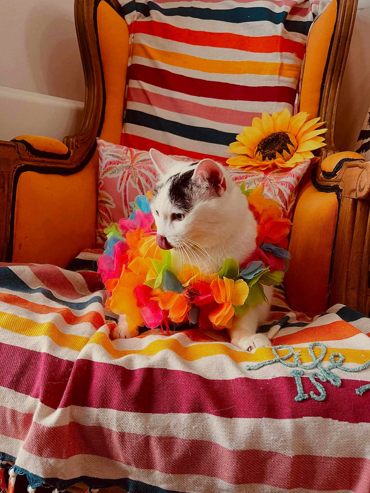 Nina a rejoint le concours — aidez-le/la à gagner de superbes lots ! cat, flower_lei, striped_blanket, armchair, sunflower, vintage_furniture, indoor, pet, colorful, white_cat, black_spots, cozy, decor, sitting, cute, domestic_animal, feline, soft_lighting, relaxed, portrait
