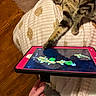 animal, blanket, cat, cozy, curious, device, fish, game, hand, indoor, interaction, paw, paw_print, pet, playing, striped, tabby, tablet, technology, wood_floor