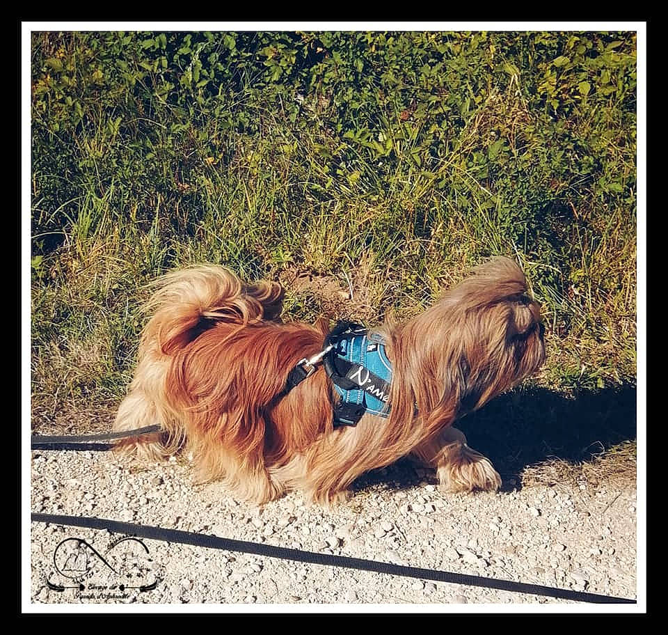 N'Amour Du Paradis D'Aphrodite