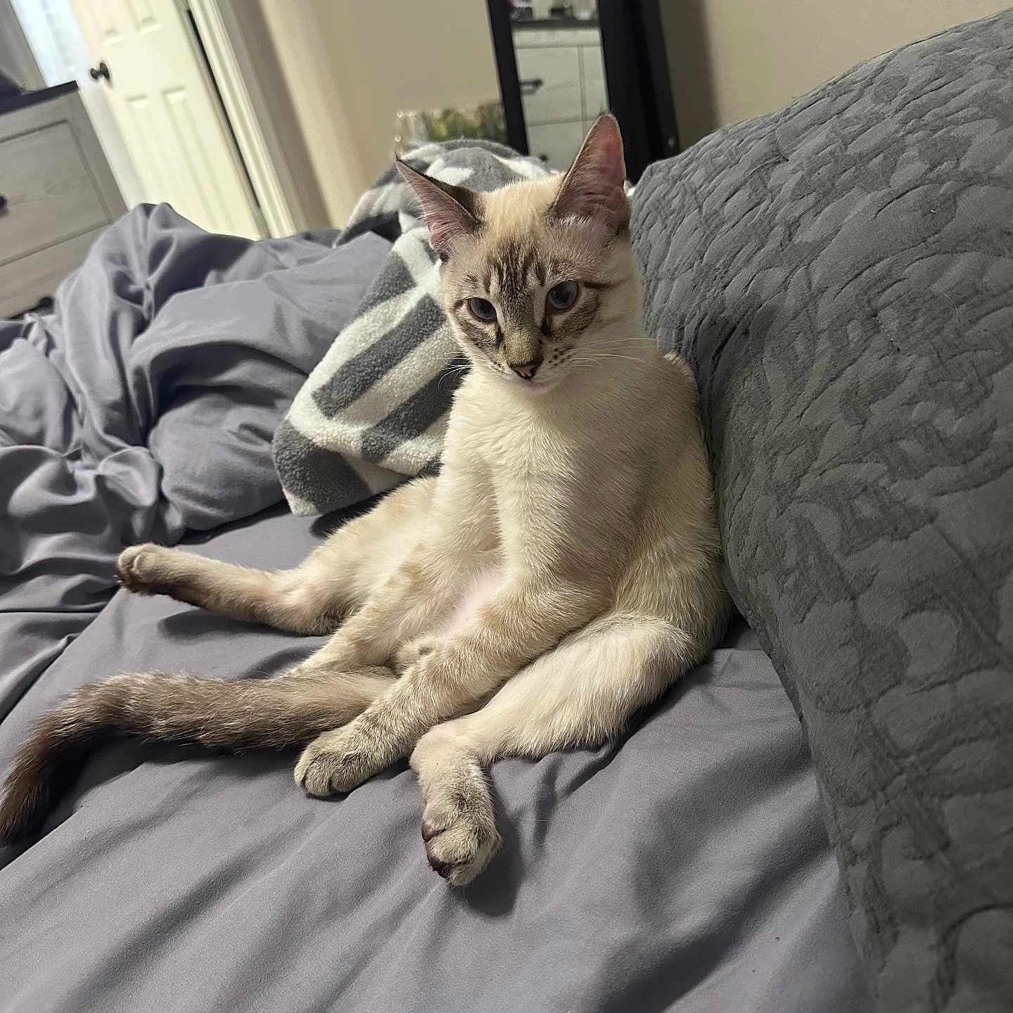 Mylo