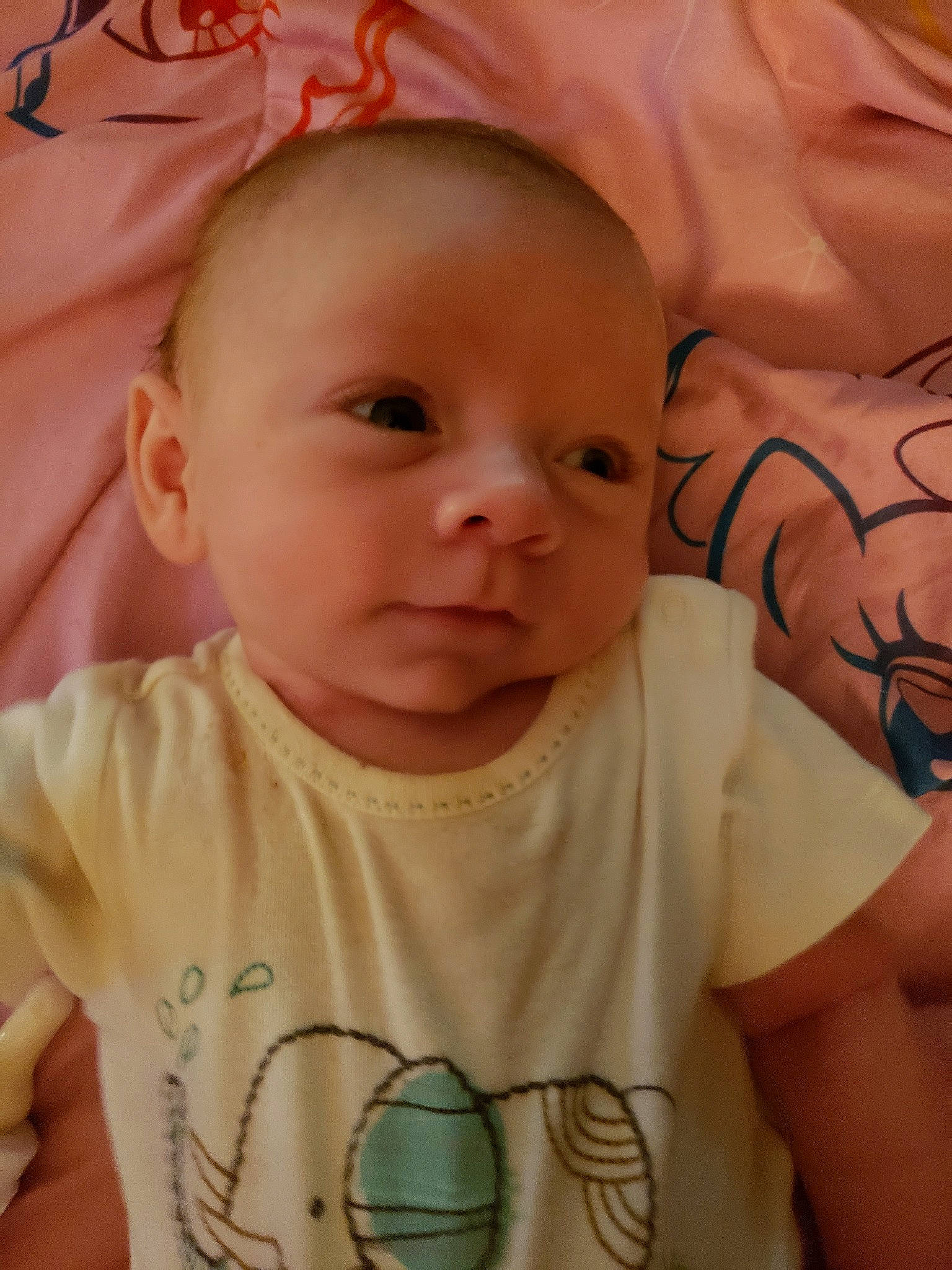 Mason is registered to the contest to win money with this photo: baby, cheek, child, chin, ear, eye, face, forehead, head, iris, lip, mouth, nose, person, skin, smile, toddler