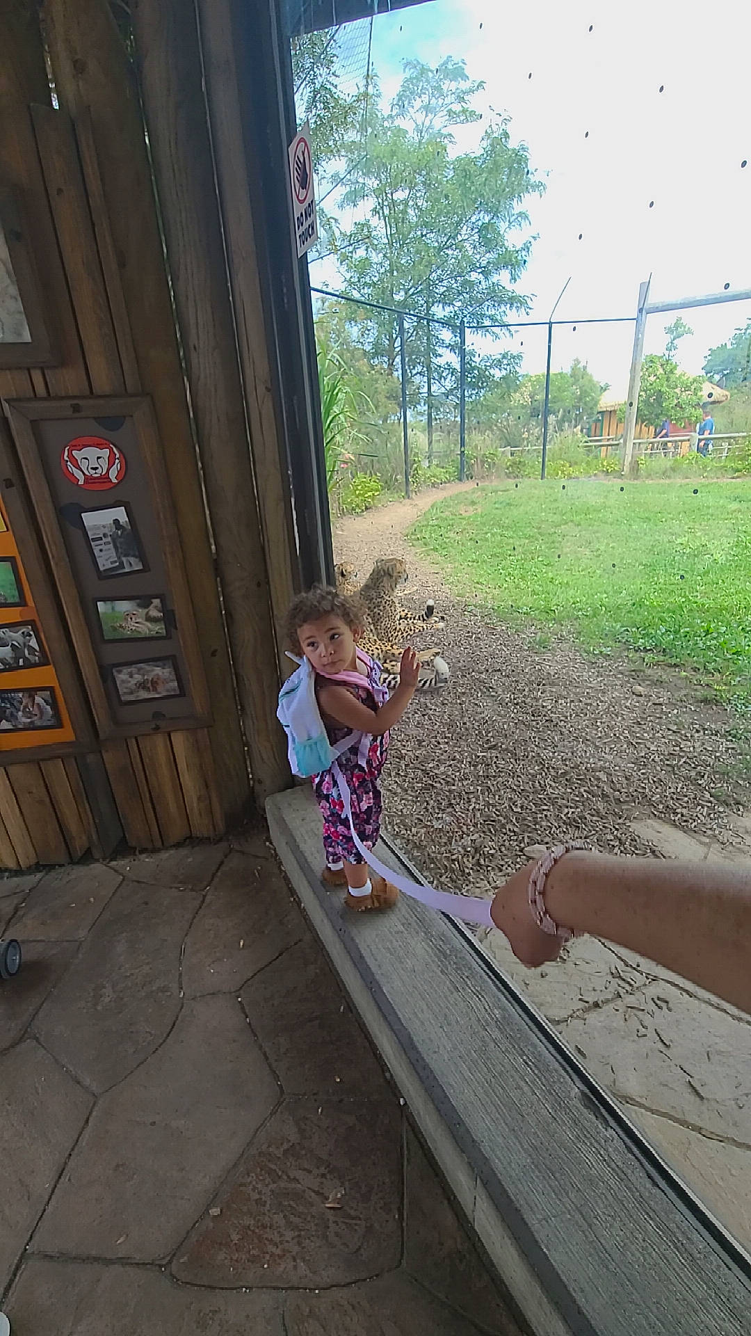 Kaylyn joined the competition — help win amazing prizes! baby, child, floor, flooring, fun, grass, human_leg, leaf, leisure, morning, person, plant, recreation, road, sidewalk, sitting, sky, toddler, travel, tree
