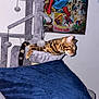 animal, blue_pillow, cat, cat_tree, comic_poster, cozy, cute, feline, furniture, gray, home, indoor, pet, playful, relaxed, resting, spider_man, striped, toy_ball, wall_art