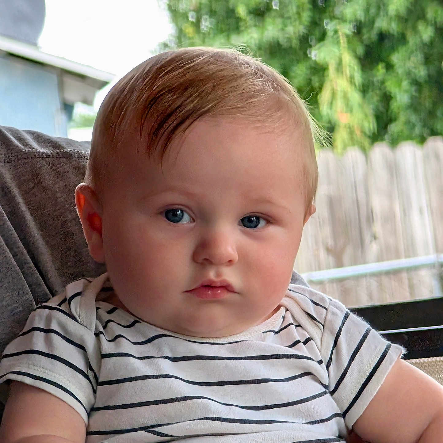 Mason is registered to the contest to win money with this photo: arm, baby, blue_eyes, casual, child, chubby_cheeks, cute, daylight, fence, greenery, infant, outdoor, person, portrait, relaxed, short_hair, sitting, skin, striped_shirt, tattoo