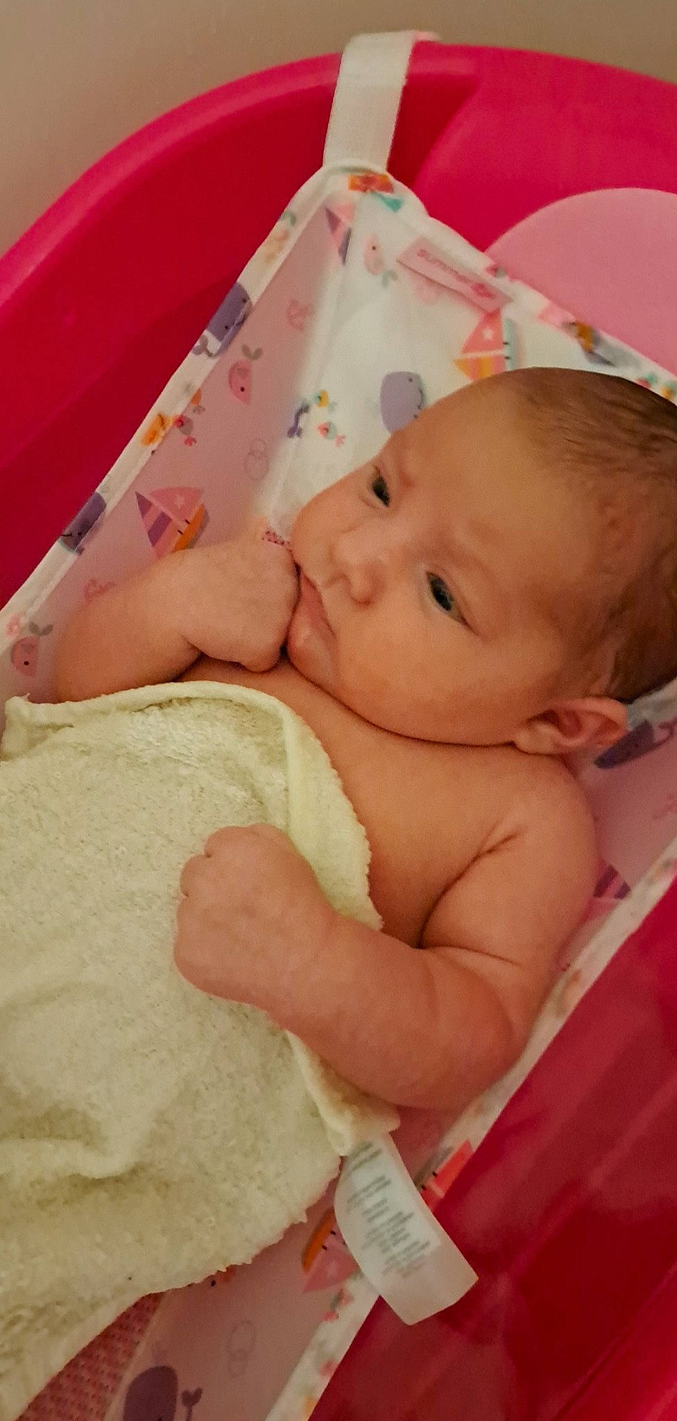 Journee joined the competition — help win amazing prizes! abdomen, baby, baby_products, baby_toddler_clothing, cheek, chest, child, comfort, eyelash, finger, fun, grass, happy, linens, lip, person, pink, skin, smile, textile