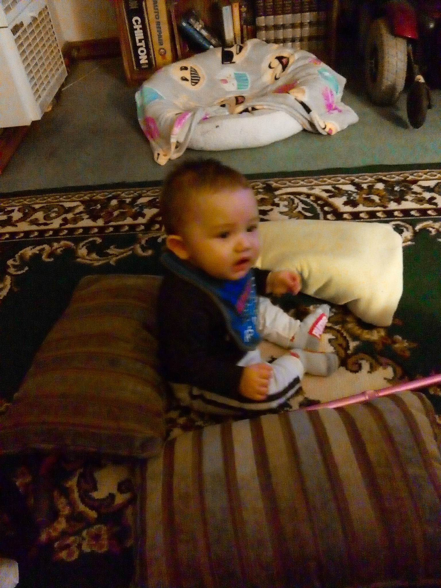 Juan joined the competition — help win amazing prizes! baby, baby_toddler_clothing, bookcase, chair, cheek, child, comfort, flooring, hardwood, head, lap, living_room, mammal, person, room, sitting, stuffed_toy, textile, toddler, toy