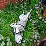 dog, husky, outdoor, grass, dandelions, flower, greenery, child, hand, shoe, playful, pet, nature, plant, brick_wall, leaf, garden, canine, animal, summer