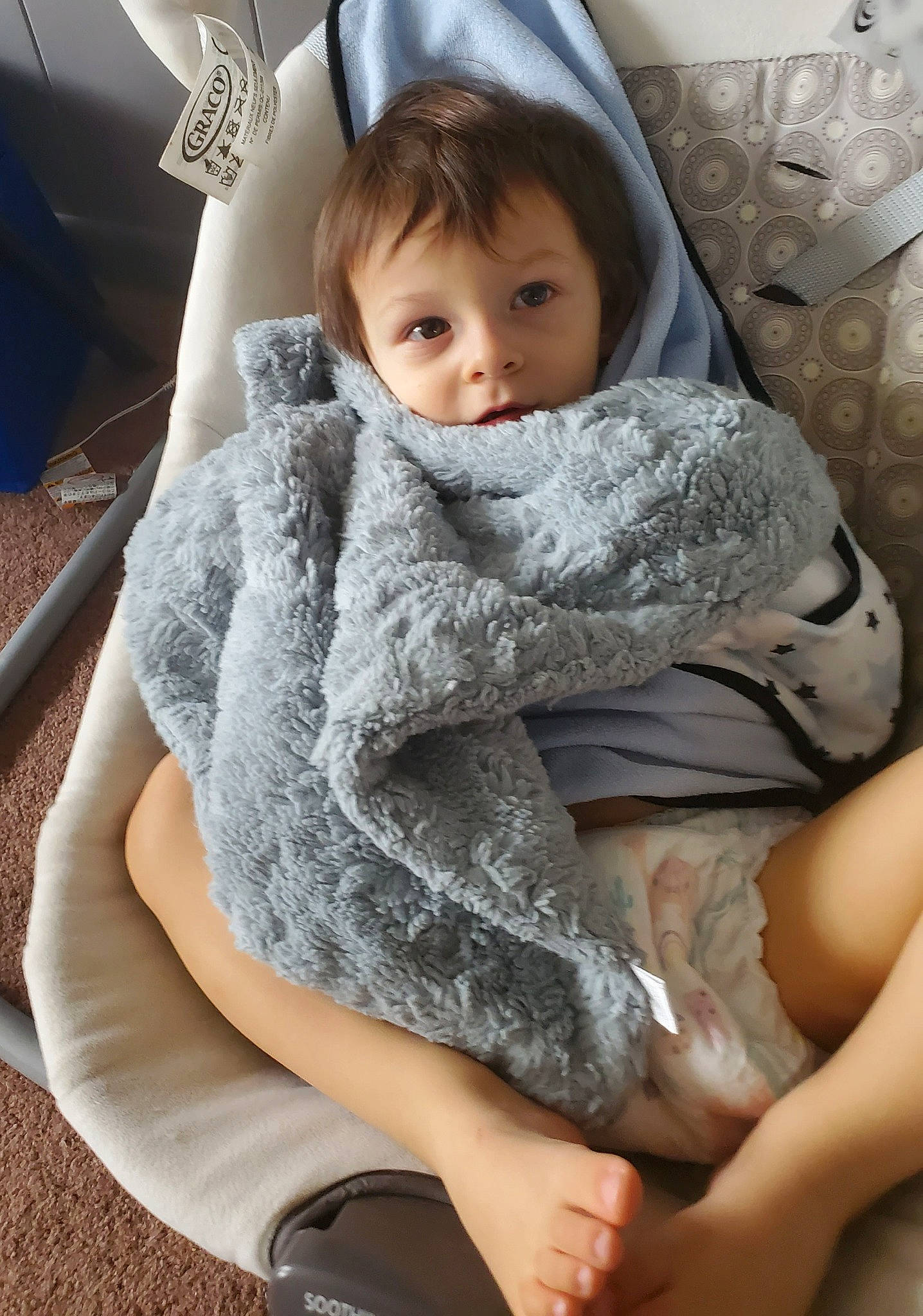 Alejandro joined the competition — help win amazing prizes! baby, baby_products, baby_safety, baby_sleeping, baby_toddler_clothing, chair, cheek, child, comfort, face, fashion_accessory, fur, happy, lap, linens, mechanical_fan, person, sitting, sleeve, thigh
