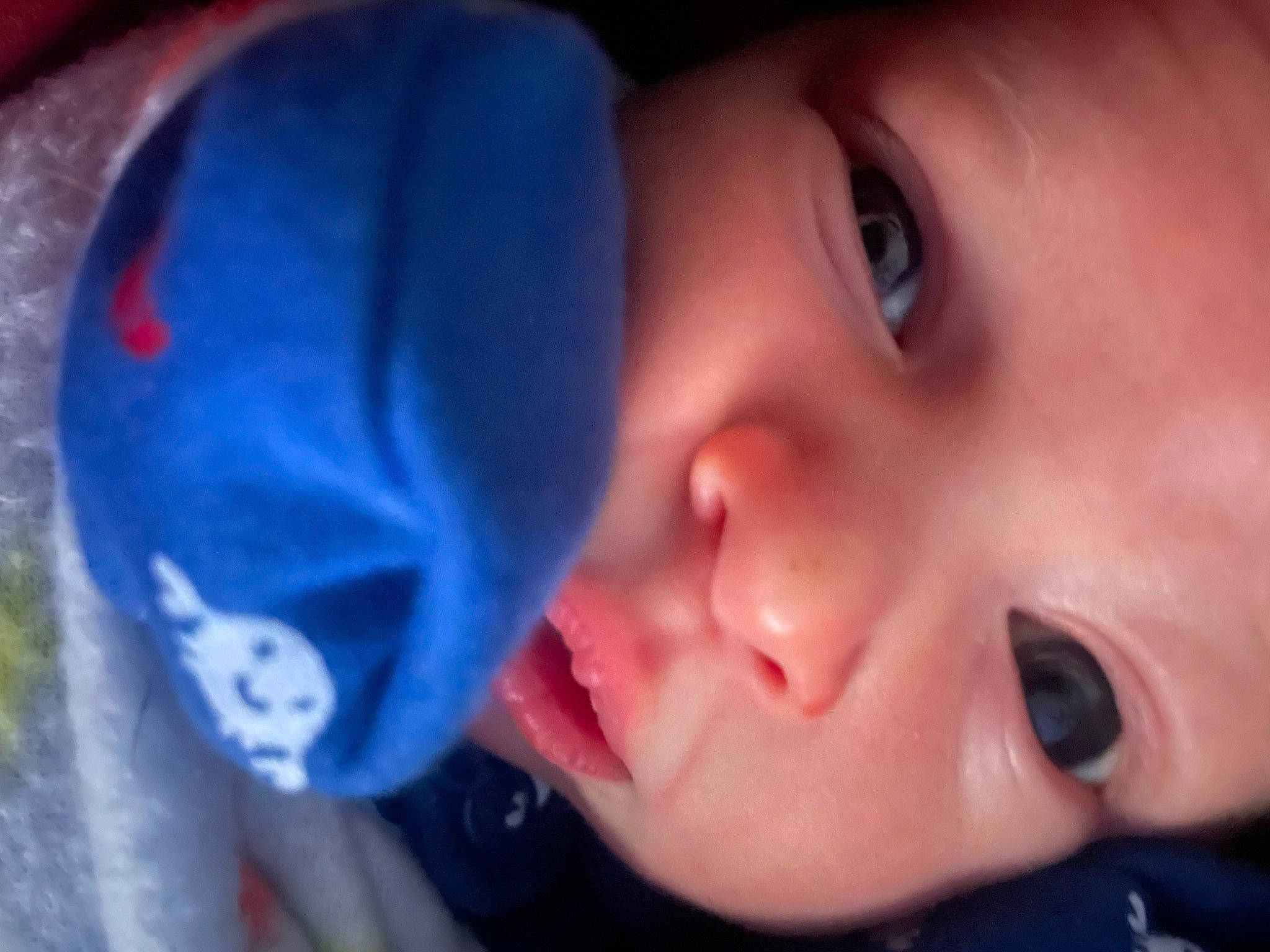 Anthony joined the competition — help win amazing prizes! baby, cheek, child, ear, electric_blue, eye, eyebrow, eyelash, forehead, happy, headgear, iris, jaw, lip, mouth, nose, organ, person, skin, smile