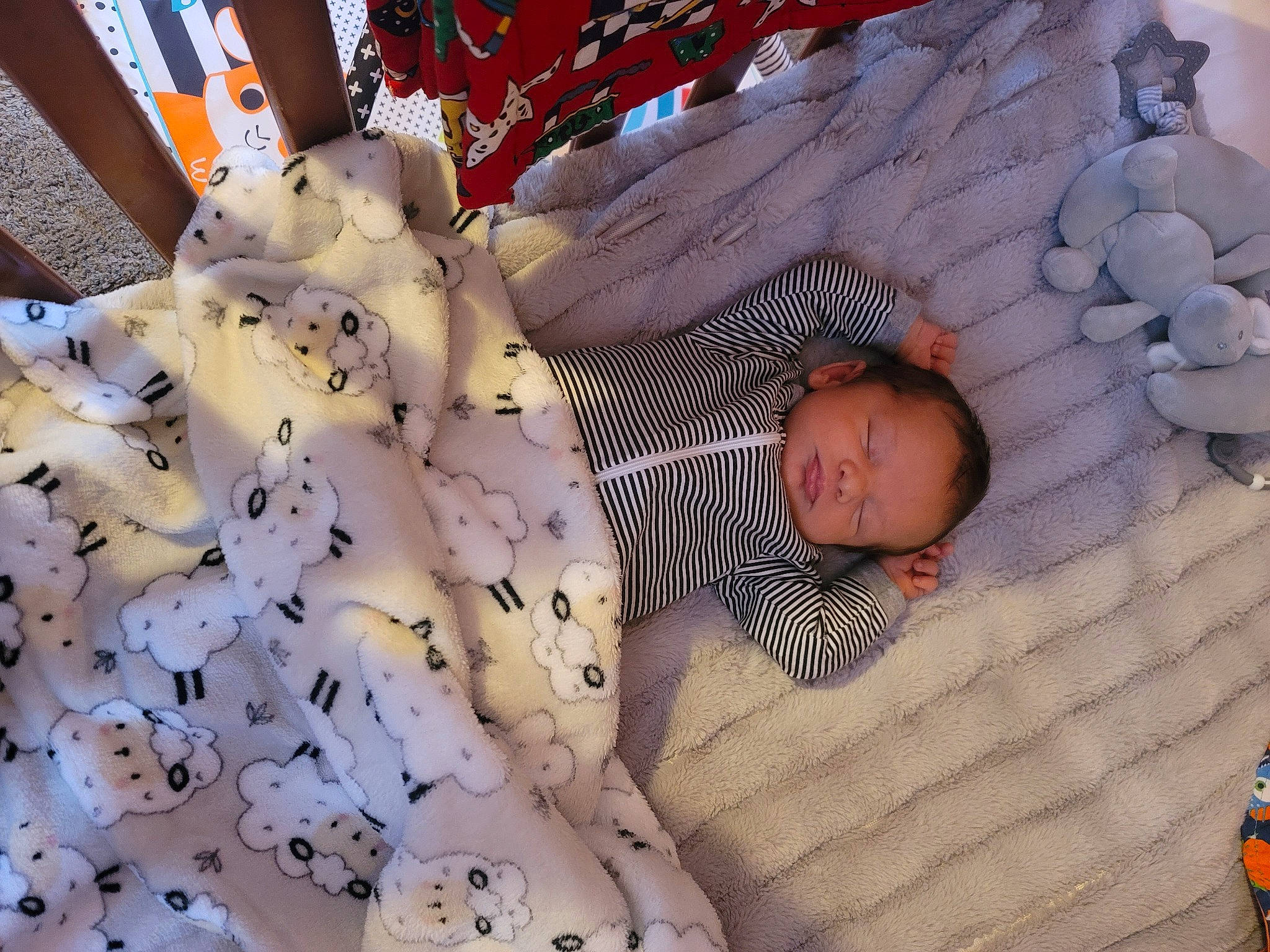 Greyson is registered to the contest to win money with this photo: baby, baby_products, baby_safety, baby_toddler_clothing, baby_toys, bedding, bedtime, child, comfort, design, linens, mammal, pattern, people, person, product, room, textile, toddler, wood