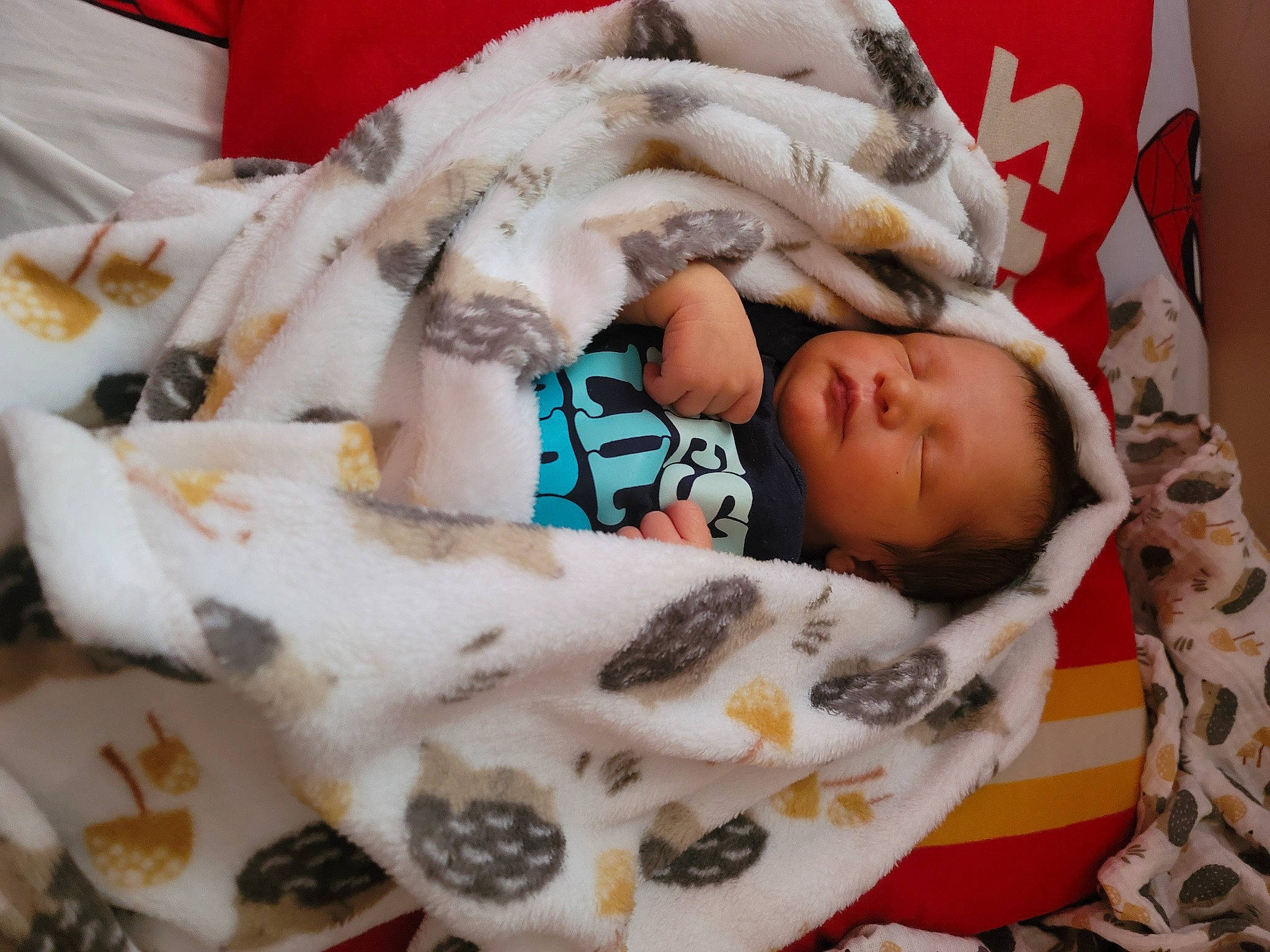 Greyson is registered to the contest to win money with this photo: baby, baby_products, baby_safety, baby_sleeping, baby_toddler_clothing, bedding, bedtime, blanket, child, comfort, companion_dog, fur, linens, nap, person, room, sleep, toddler