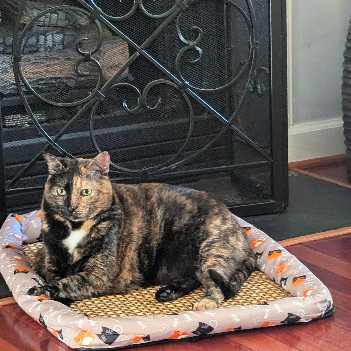 Zoe