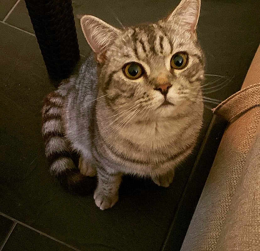 Einstein