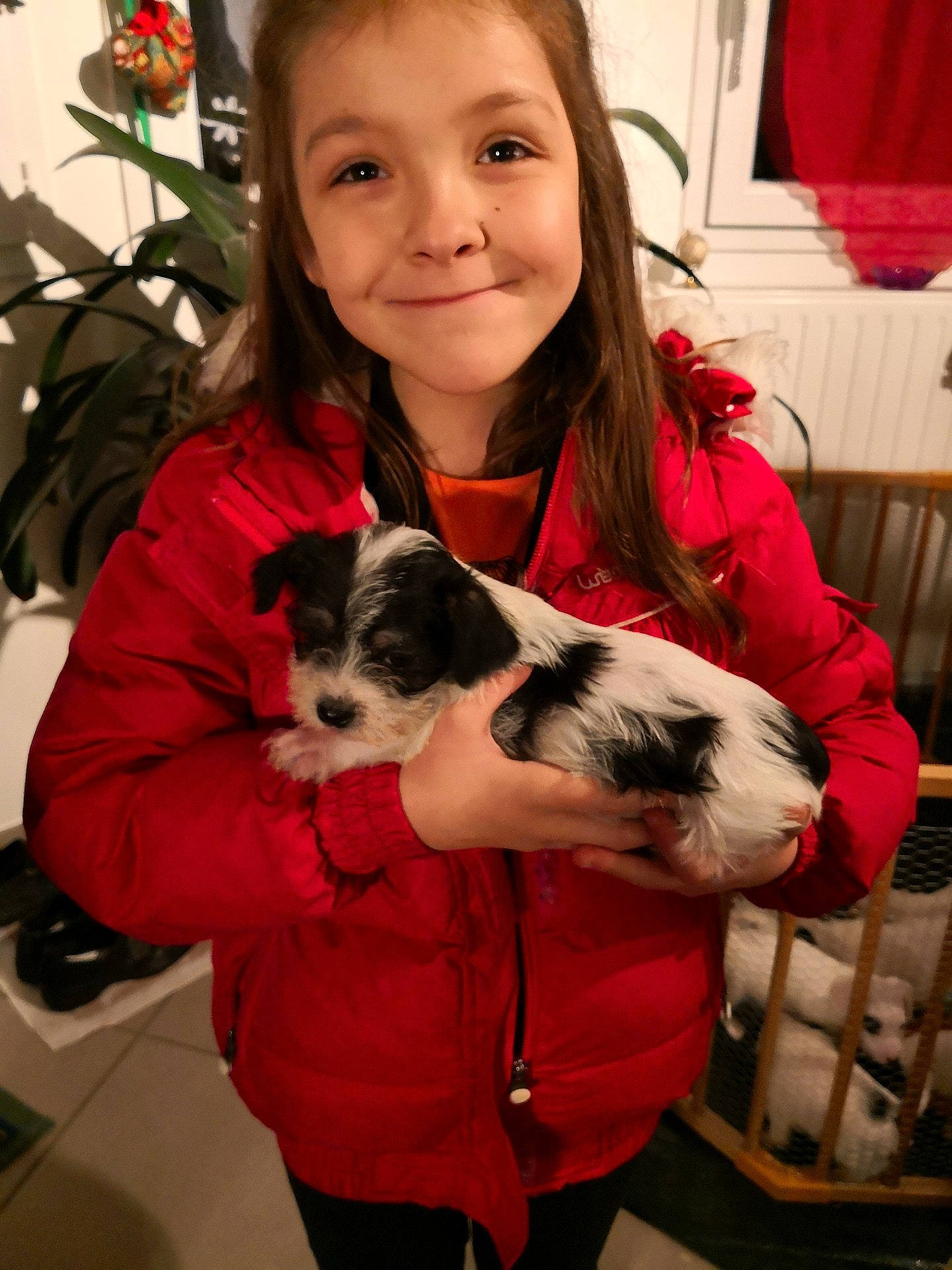 Maylie participe au concours pour gagner de l'argent avec cette photo : carnivoran, child, dog, dog_breed, dog_crossbreeds, dog_like_mammal, fun, girl, joy, mammal, person, puppy, puppy_love, skin, smile, toddler, vertebrate