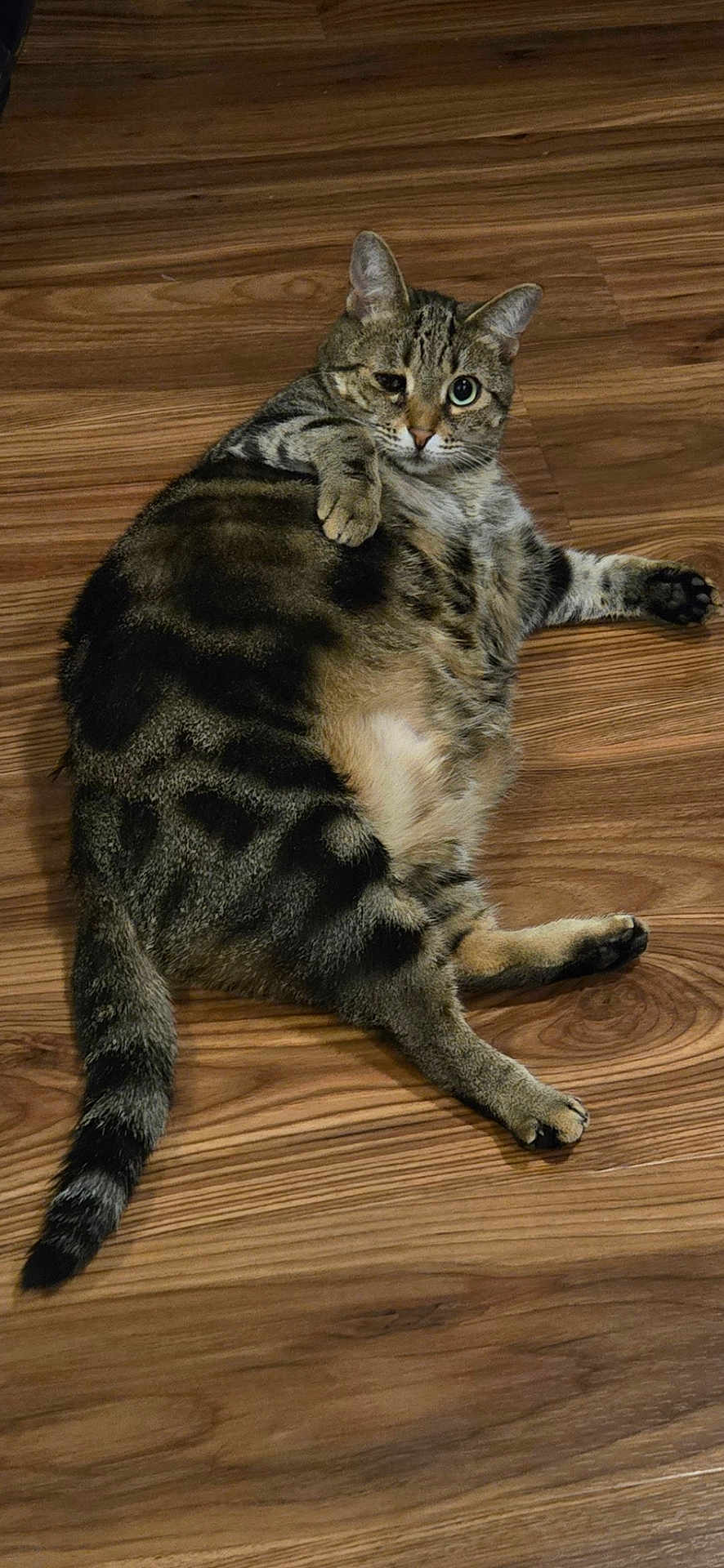 Cleo