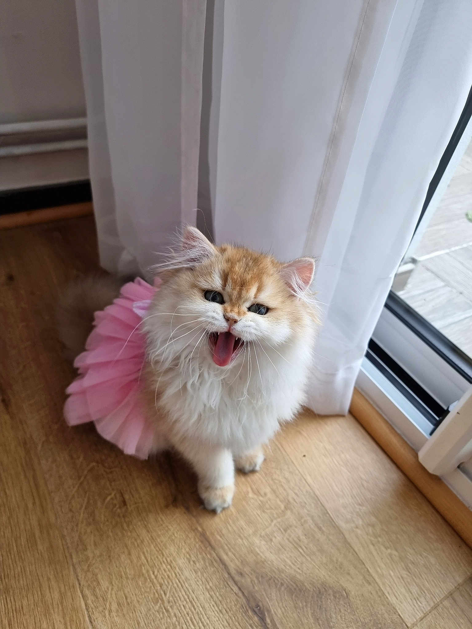 Hermione