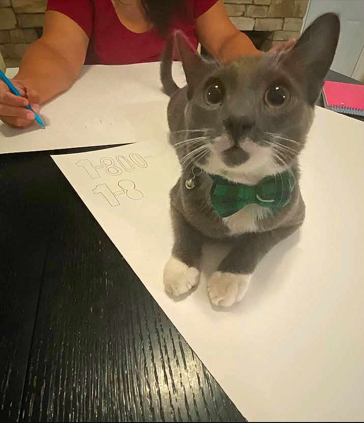Winston