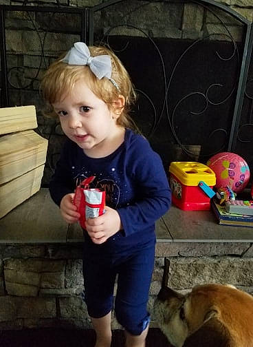 Linnea joined the competition — help win amazing prizes! canidae, child, ear, person, play, smile, toddler