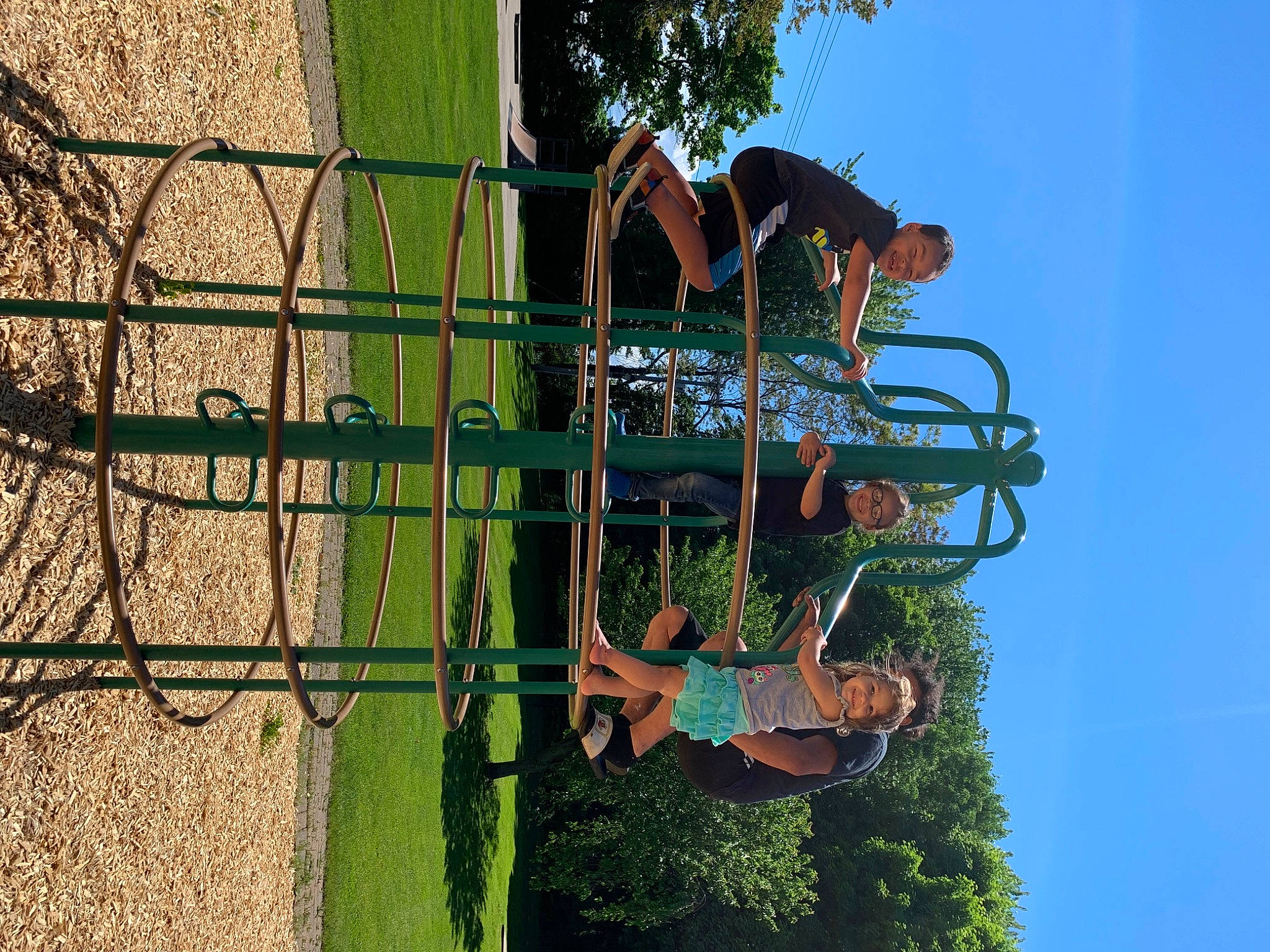 Ariel is registered to the contest to win money with this photo: art, branch, chain_link_fencing, fun, grass, joy, landscape, leisure, metal, person, plant, pole, recreation, sky, soil, tree, visual_arts, wire_fencing, wood