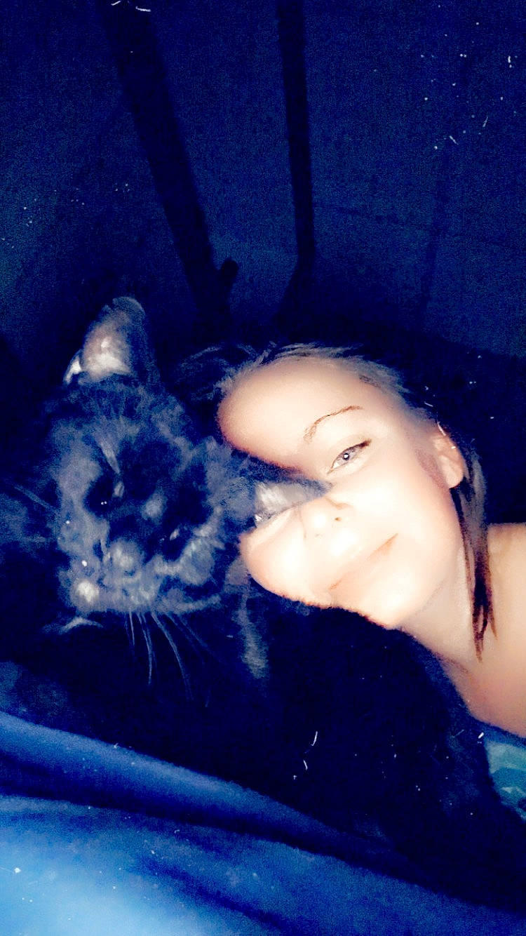 Fatbaby is registered to the contest to win money with this photo: black_hair, blue, carnivore, cat, darkness, domestic_short_haired_cat, electric_blue, felidae, flash_photography, fur, jaw, long_hair, nose, sitting, small_to_medium_sized_cats, snout, tail, tints_and_shades, whiskers, window