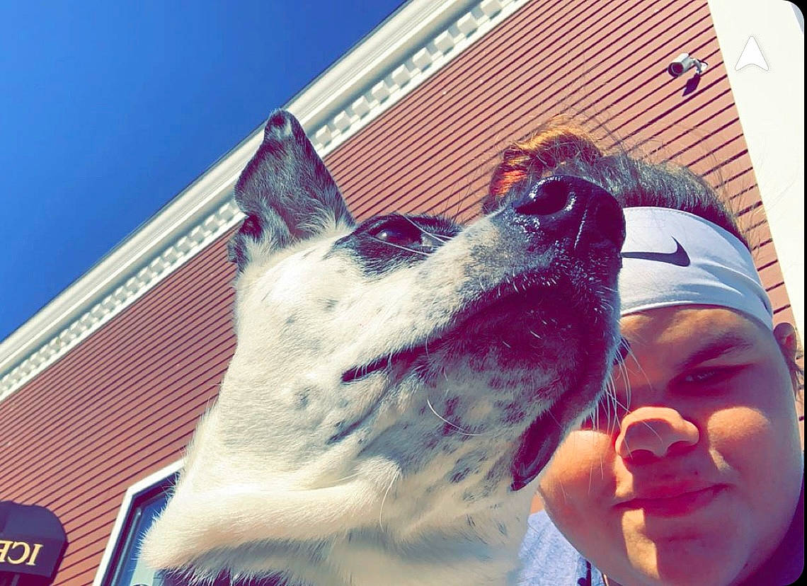 Mona joined the competition — help win amazing prizes! blue, carnivore, companion_dog, dog, dog_breed, eyewear, fawn, felidae, happy, hat, head, mammal, rectangle, selfie, smile, snapshot, snout, sporting_group, vertebrate, whiskers