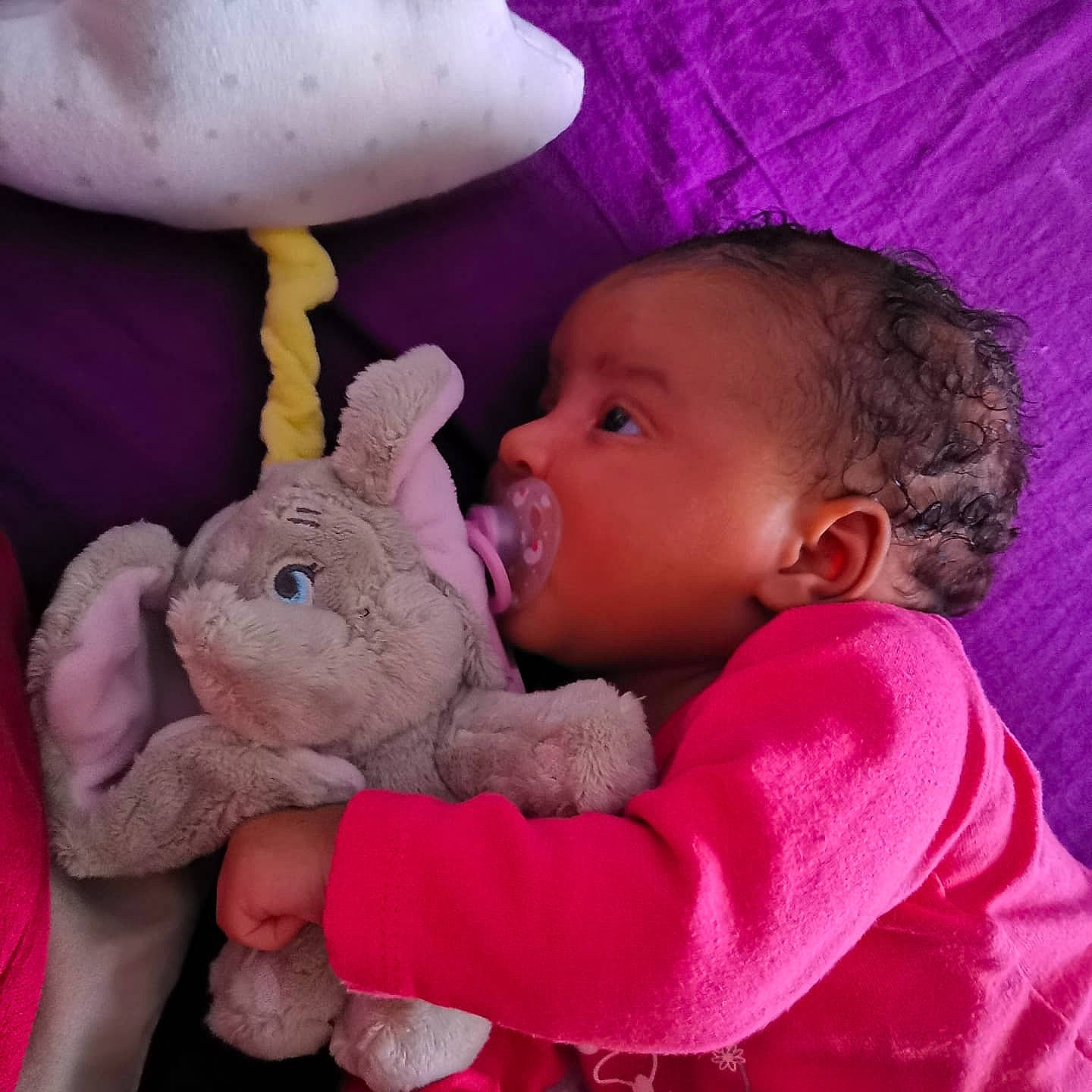 Kailya participe au concours pour gagner de l'argent avec cette photo : ear, facial_expression, fawn, finger, gesture, hairstyle, hand, happy, human_body, interaction, iris, nose, organ, person, pink, product, purple, rabbits_and_hares, skin, toy