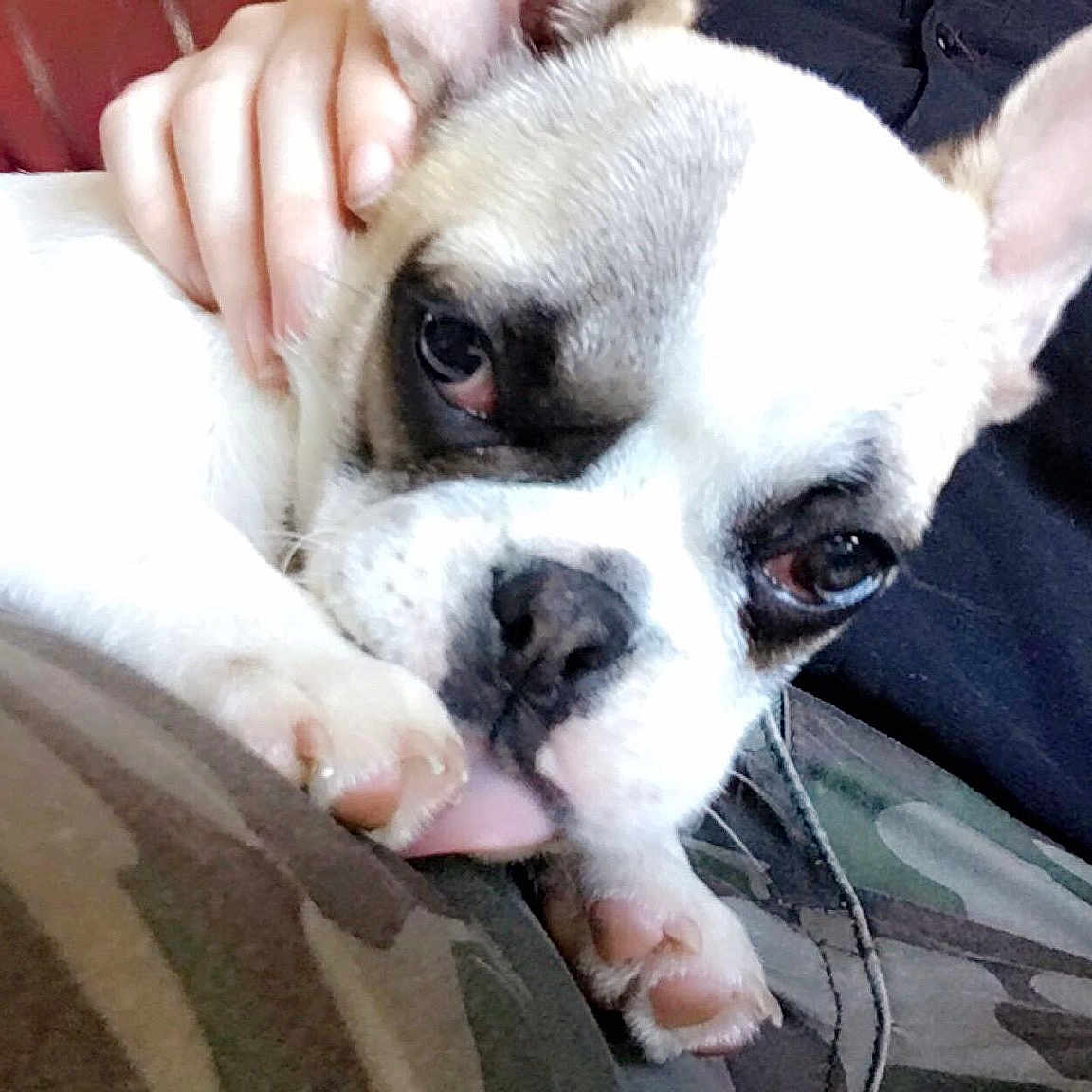 Naya