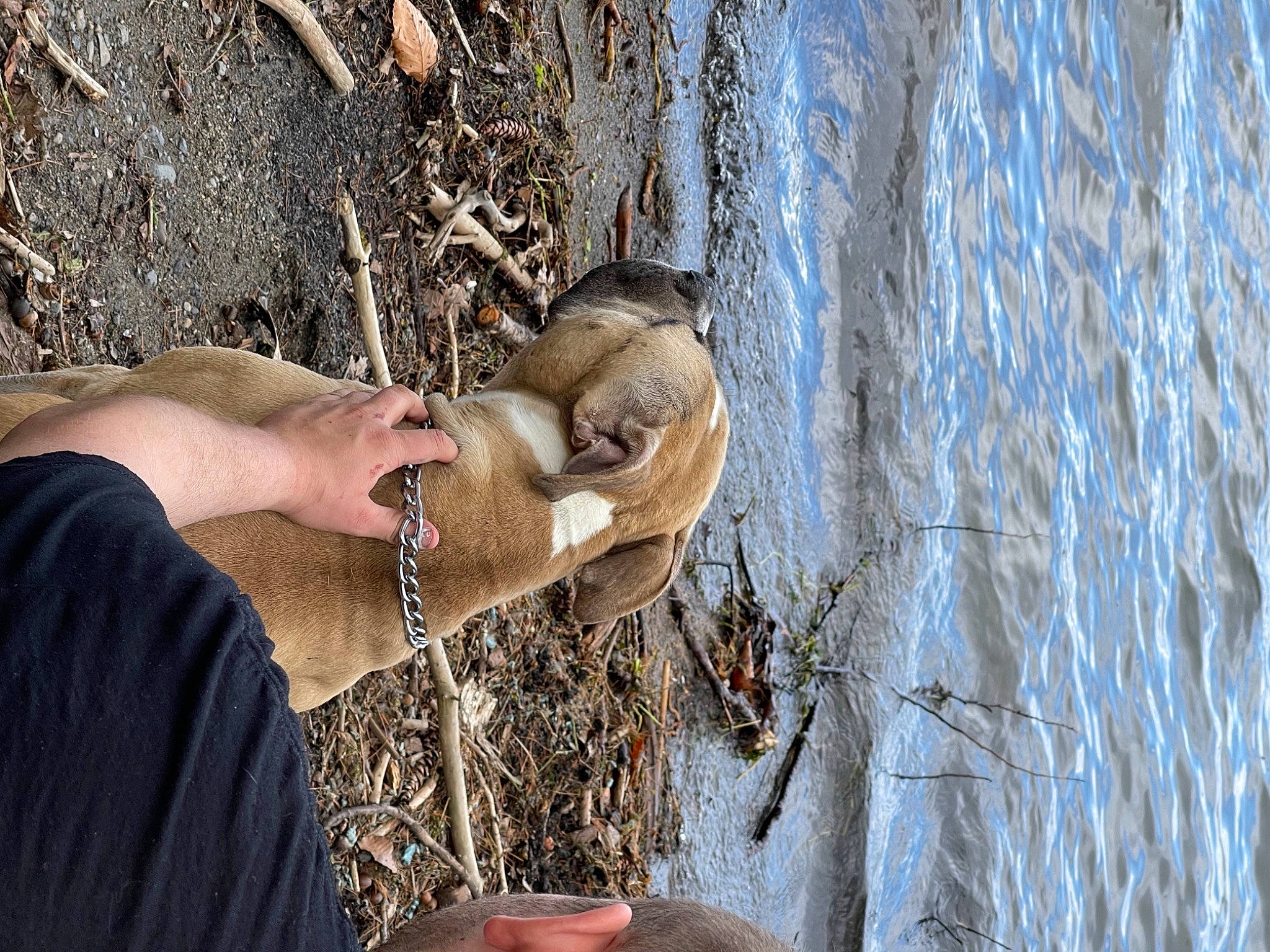 Atlas joined the competition — help win amazing prizes! eyewear, fawn, foot, freezing, fur, grass, grass_family, human_body, human_leg, nail, people_in_nature, reflection, soil, sunglasses, trunk, twig, water, winter, wood, wrist