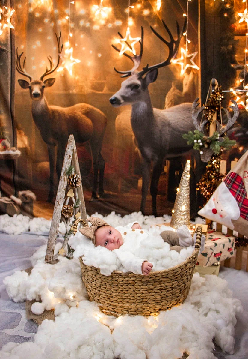 Talia participe au concours pour gagner de l'argent avec cette photo : art, beauty, branch, christmas_decoration, decoration, deer, elk, event, fawn, light, lighting, person, photograph, plant, reindeer, snapshot, snow, tree, white, window