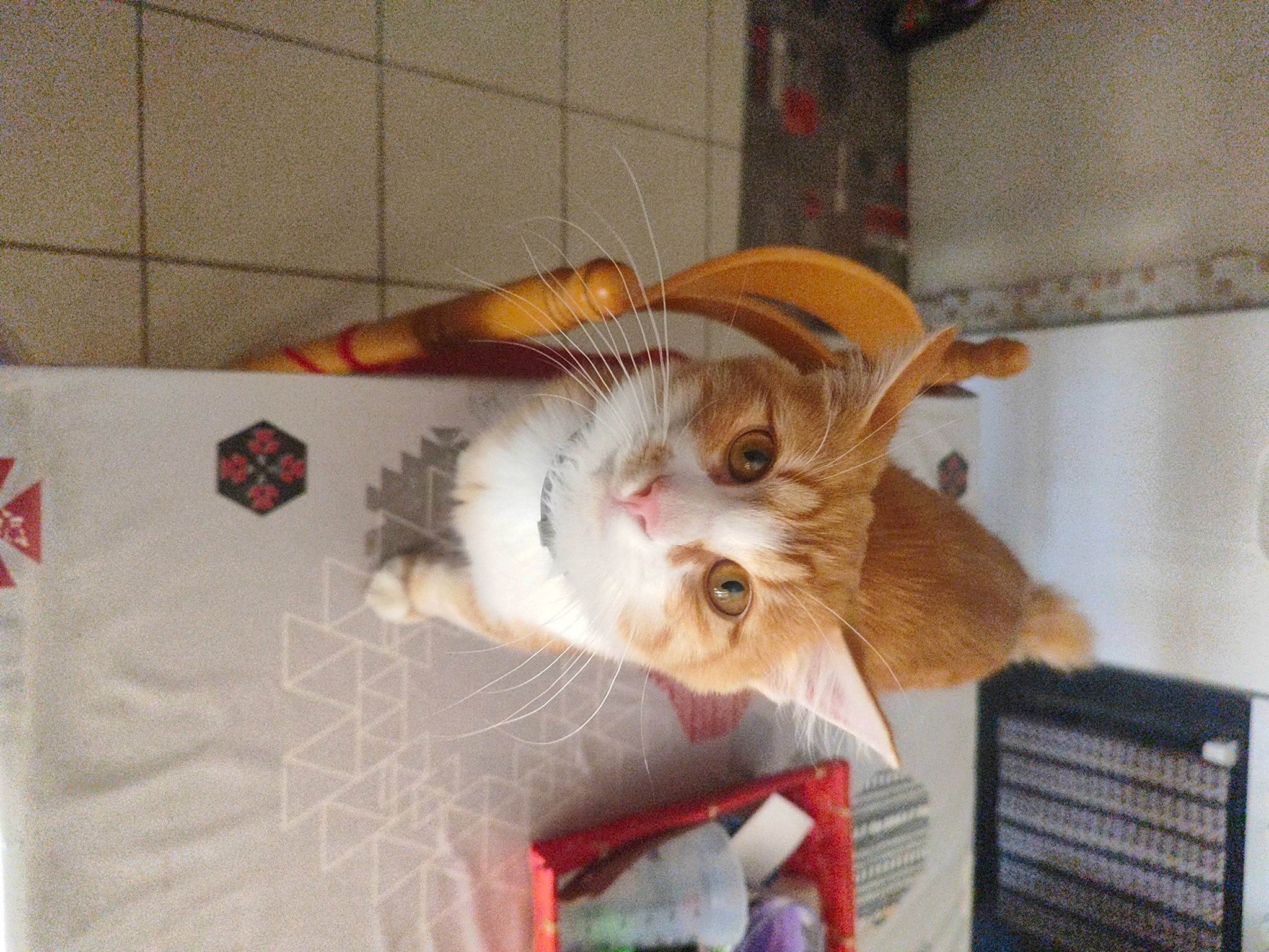 Tigrou