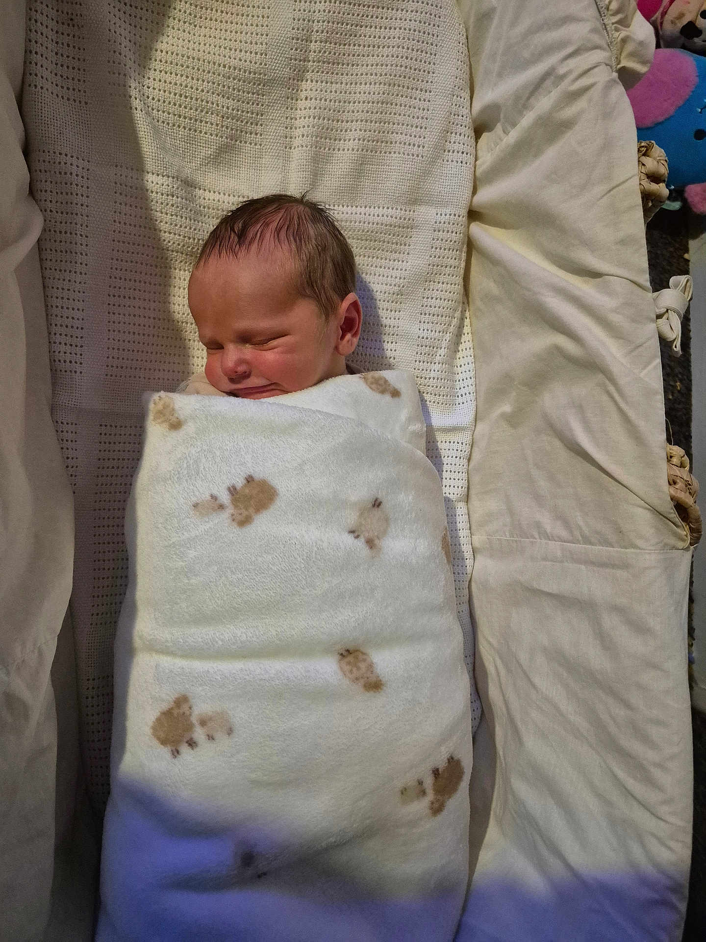 Jake joined the competition — help win amazing prizes! newborn, baby, swaddled, blanket, sleeping, infant, bed, cozy, cute, soft, paw_prints, peaceful, wrapped, child, indoors, resting, portrait, head, face, toddler