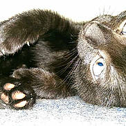 Shingo joined the competition — help win amazing prizes!