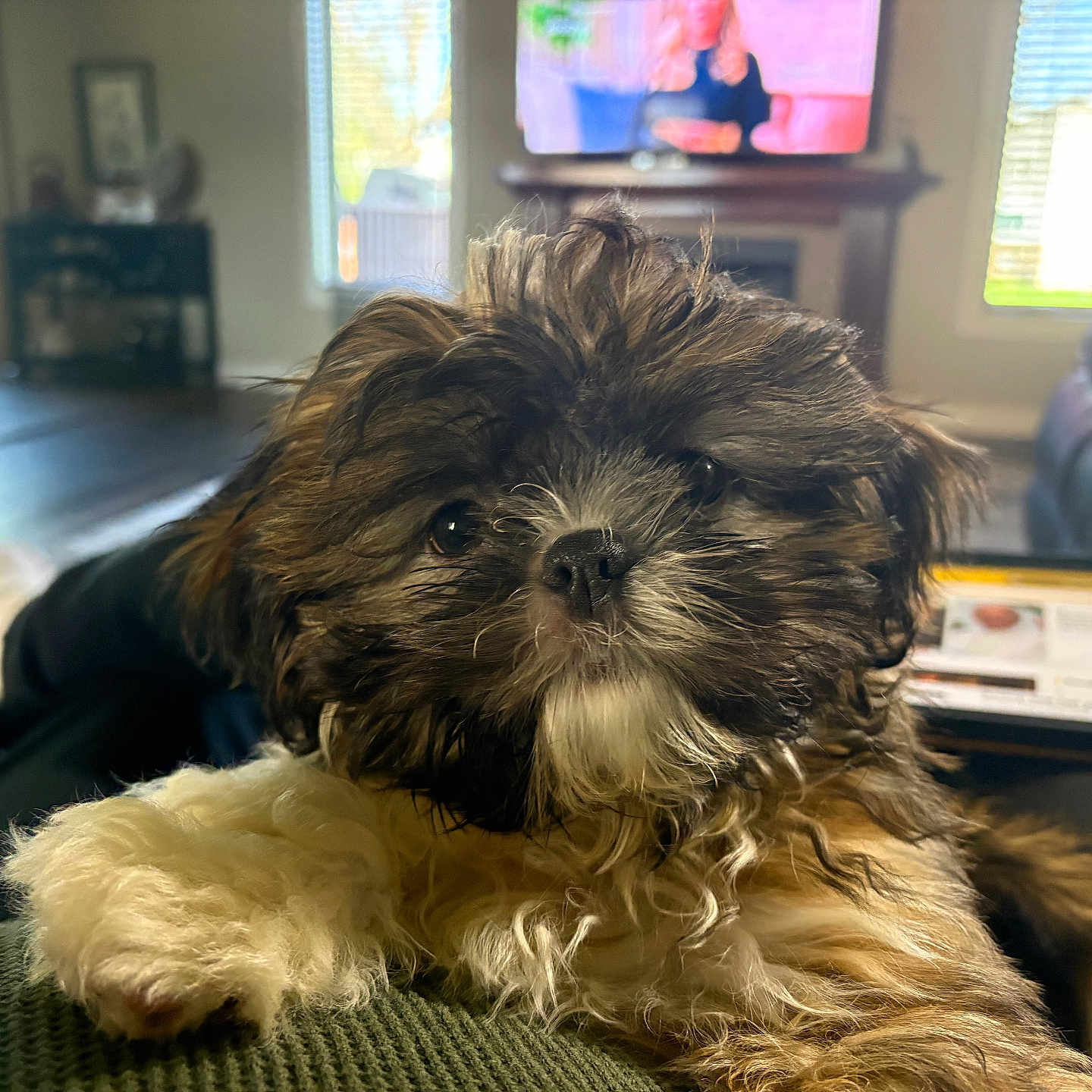 Finn