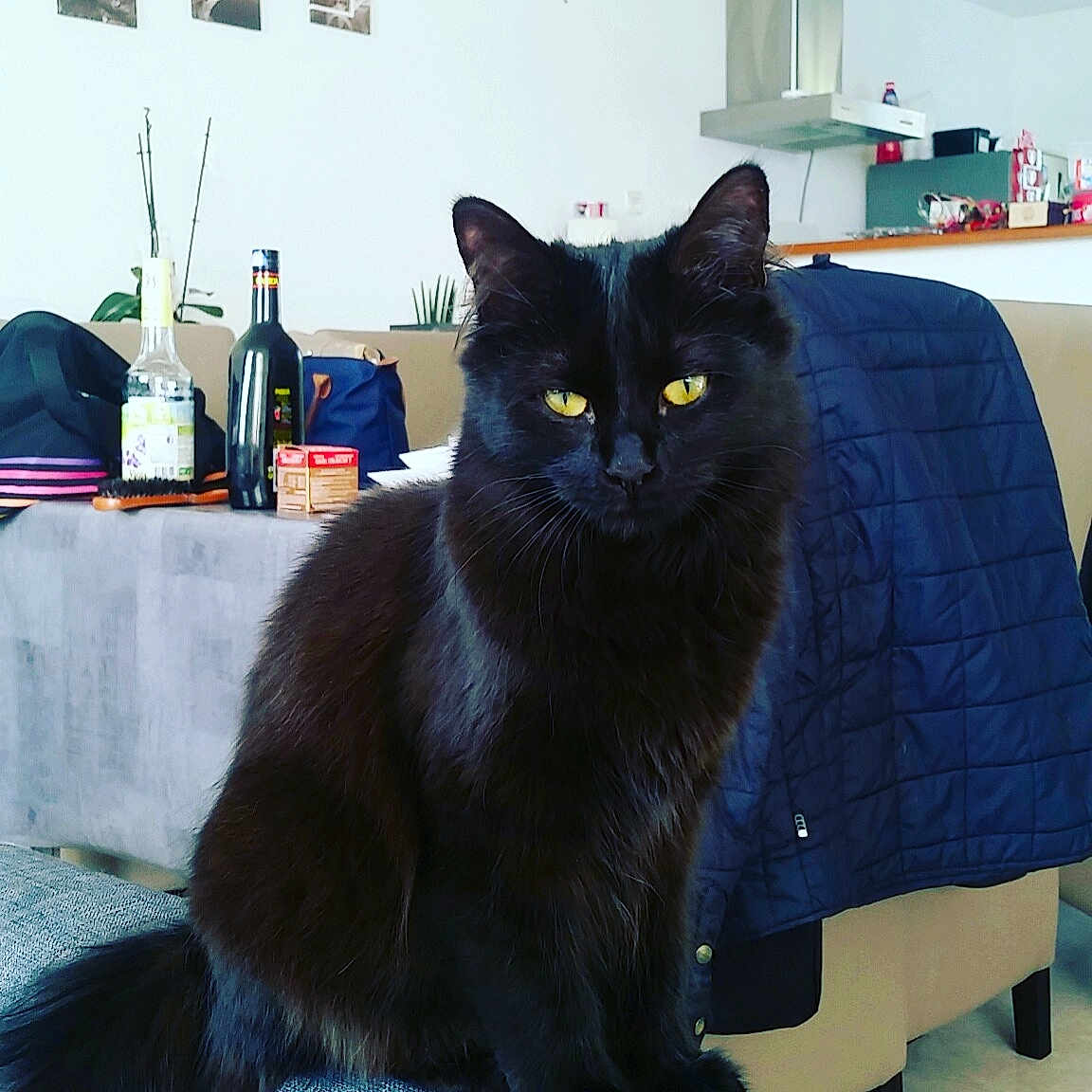 Nala