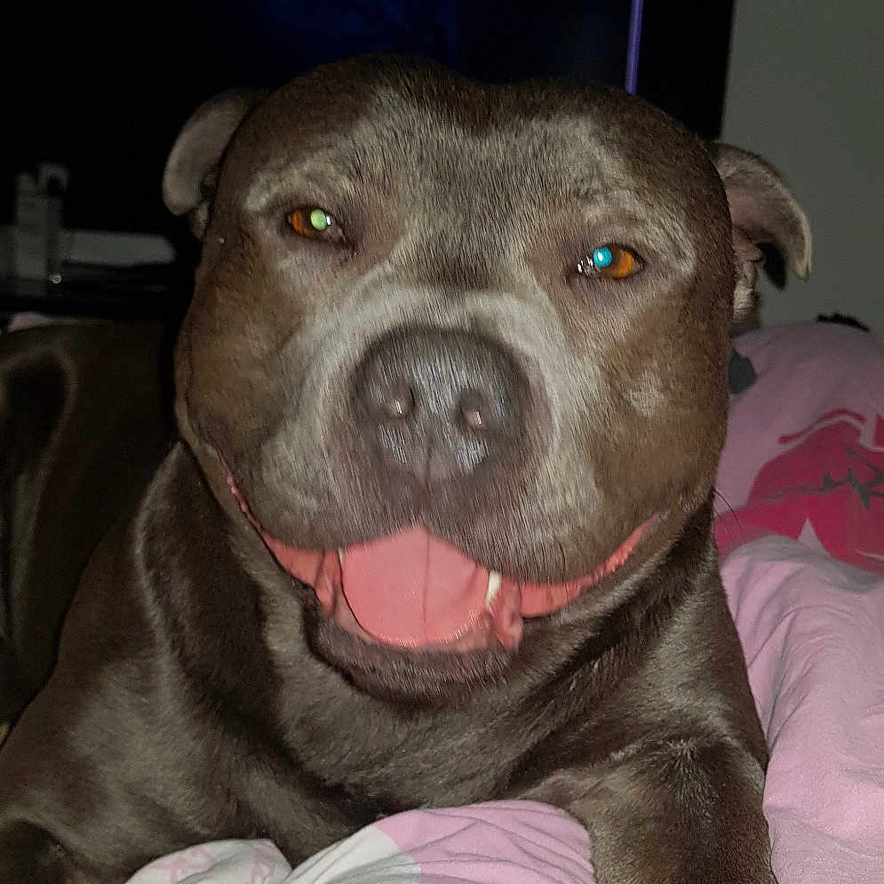 Tito