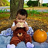 Isaac is registered to the contest to win money with this photo: baby, child, toddler, outdoor, autumn, fall, pumpkin, blanket, costume, bear_costume, cookie, snack, sitting, face, hands, tree, grass, park, portrait, car
