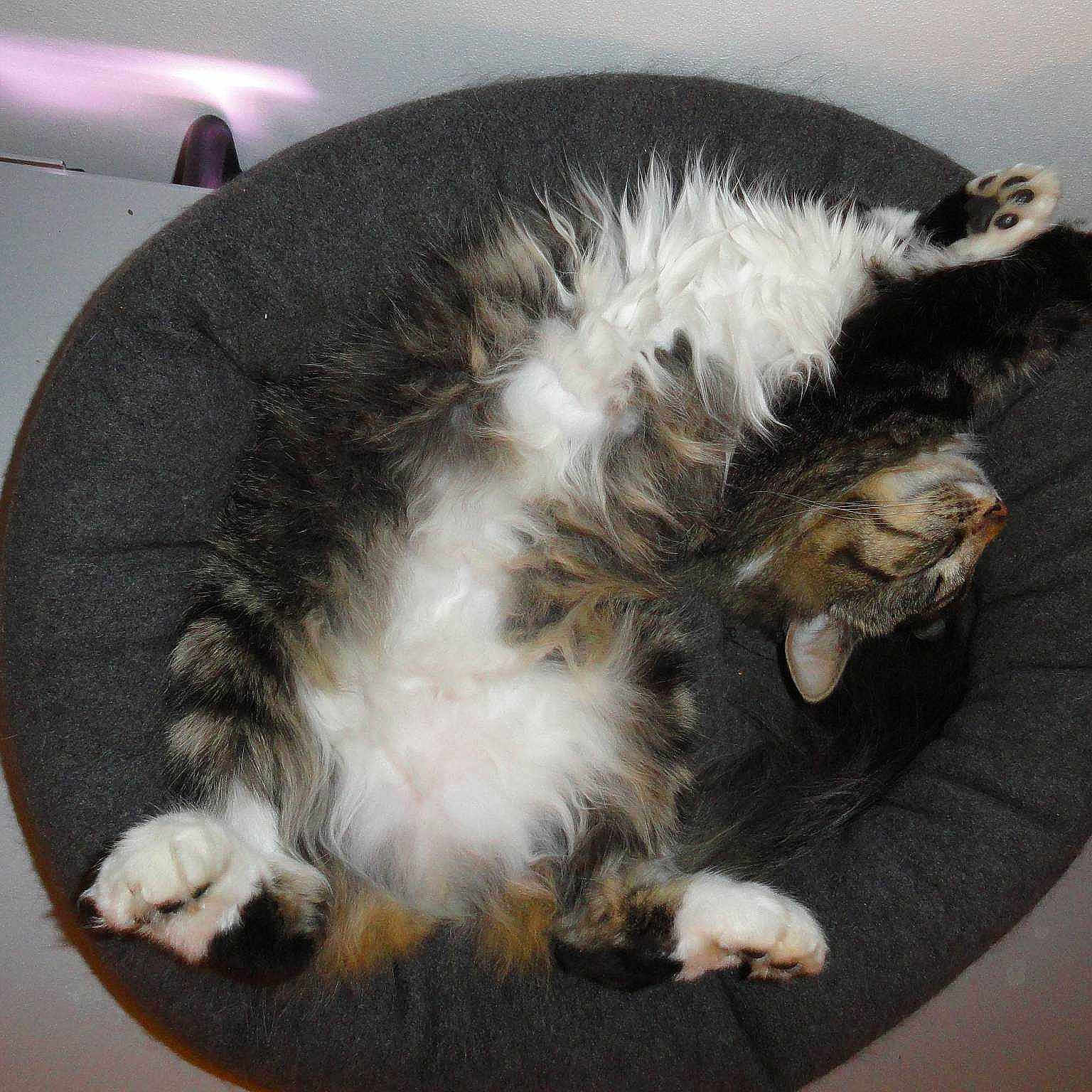 Lily joined the competition — help win amazing prizes!