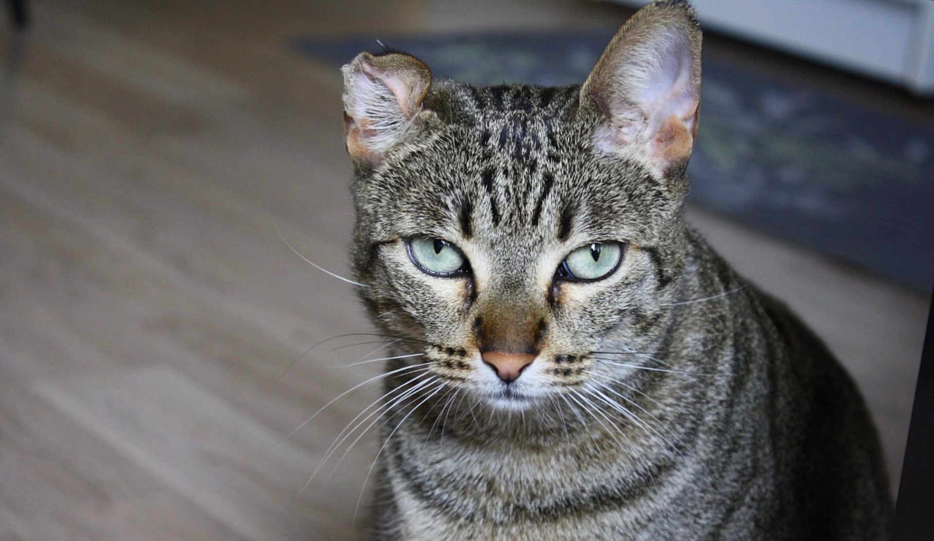 Zoe