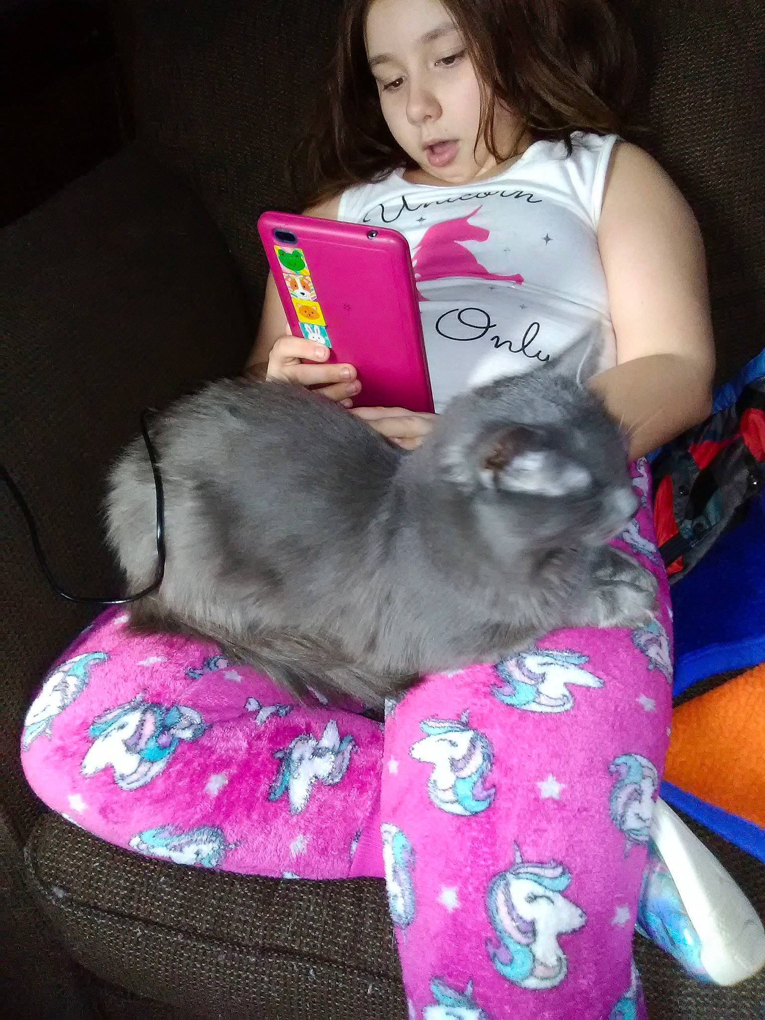 Georgia is registered to the contest to win money with this photo: black, canidae, carnivore, cat, child, comfort, companion_dog, dog_breed, felidae, fur, lap, linens, magenta, mammal, nap, person, pink, sitting, small_to_medium_sized_cats, t_shirt