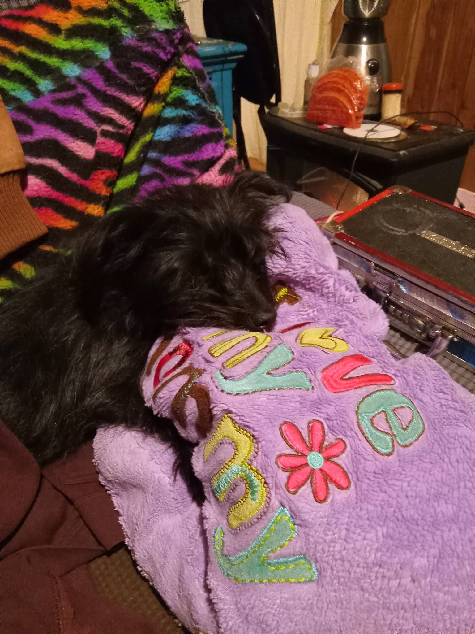 Nevaeh is registered to the contest to win money with this photo: bed, bed_sheet, bedding, bedroom, carnivore, comfort, companion_dog, dog, dog_breed, dog_supply, fur, linens, liver, magenta, pattern, pink, room, sporting_group, toy_dog, visual_arts