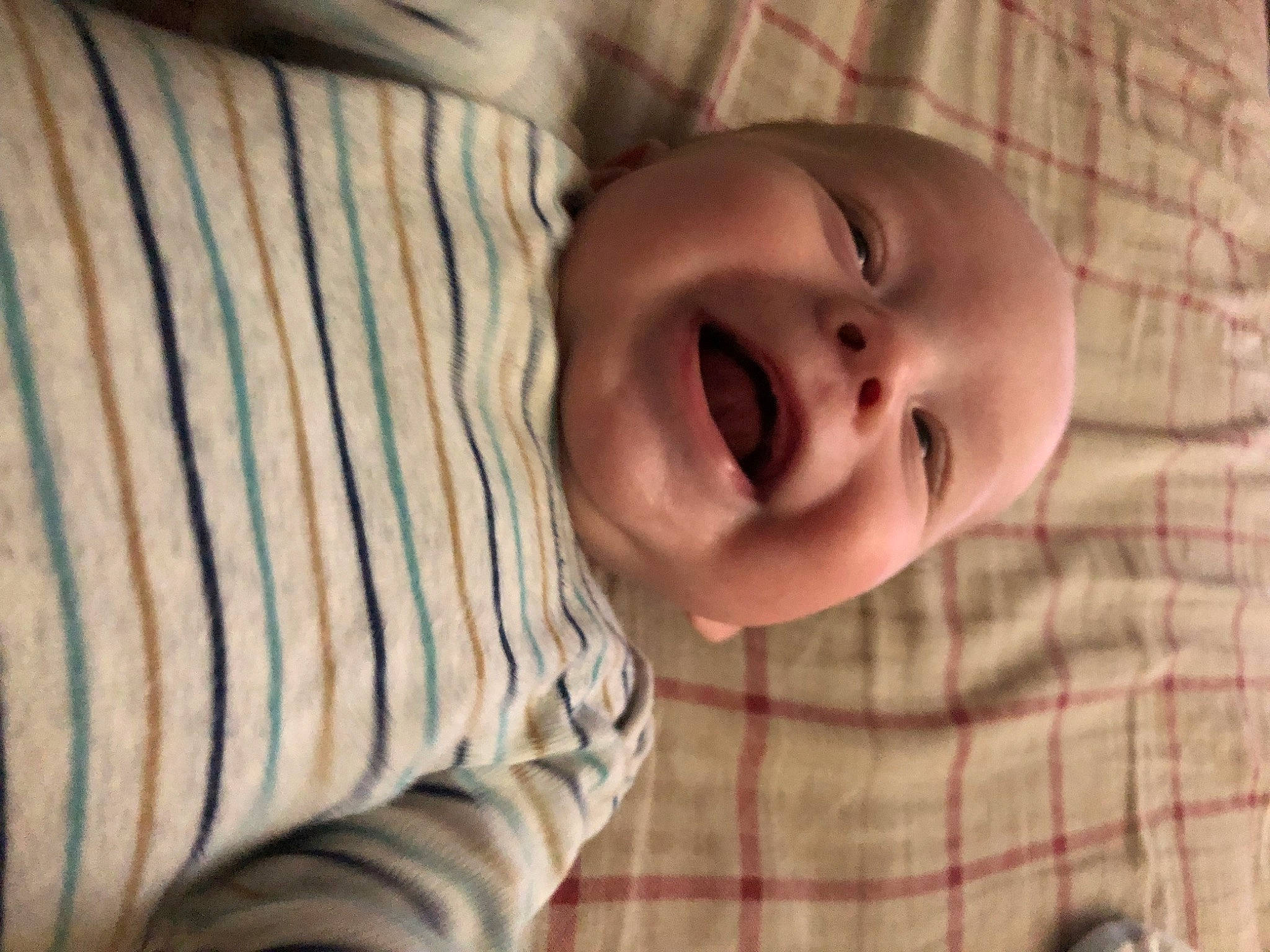 Kenai joined the competition — help win amazing prizes! baby, baby_toddler_clothing, cheek, child, chin, comfort, eye, face, fun, happy, head, iris, lip, mouth, nose, person, skin, sleeve, smile, textile